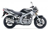 2002 Suzuki GS 500 photo